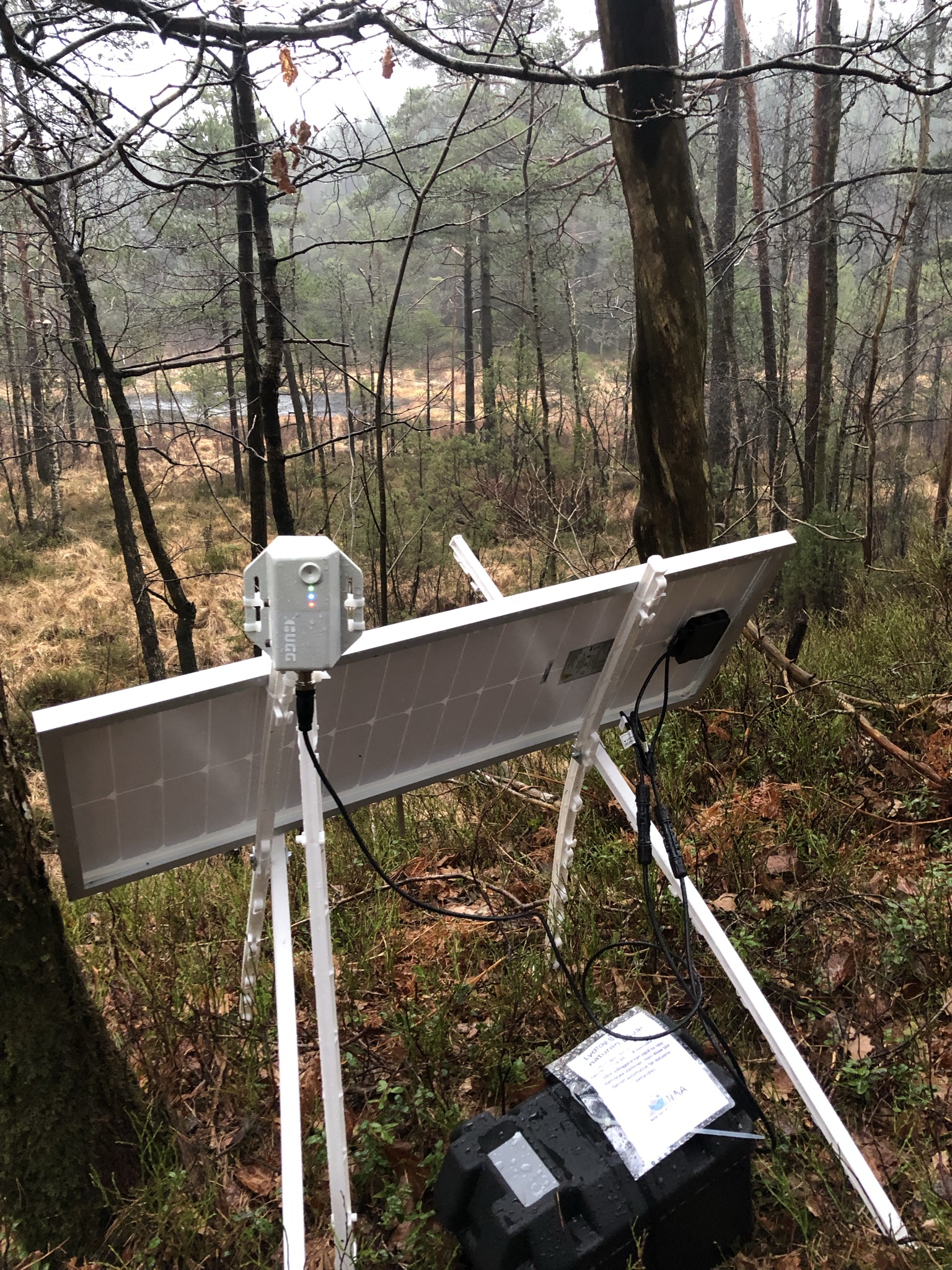 Forest bioacoustic monitoring study