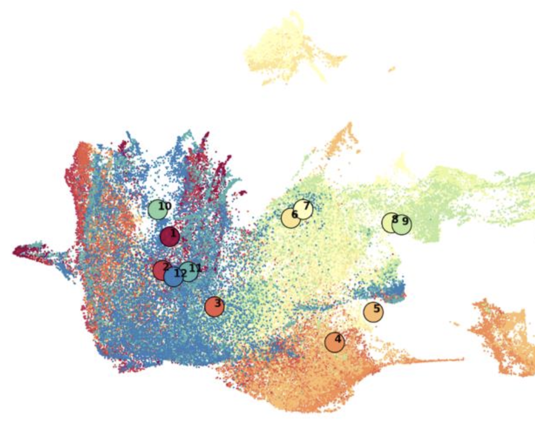 UMAP audio embedding visualization